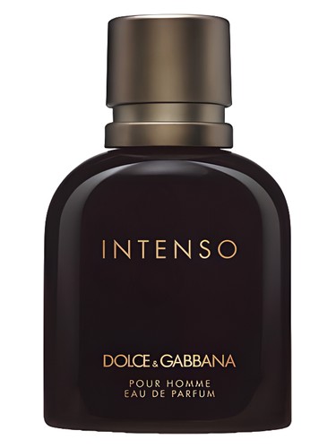 DOLCE & GABBANA INTENSO POUR HOMME