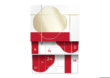 Load image into Gallery viewer, SHISEIDO ADVENT CALENDAR