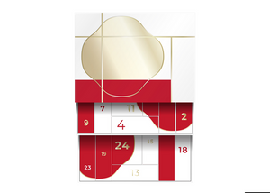 SHISEIDO ADVENT CALENDAR